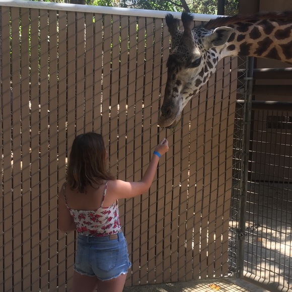 Meet your Posher, Amy - Picture 1 of 1